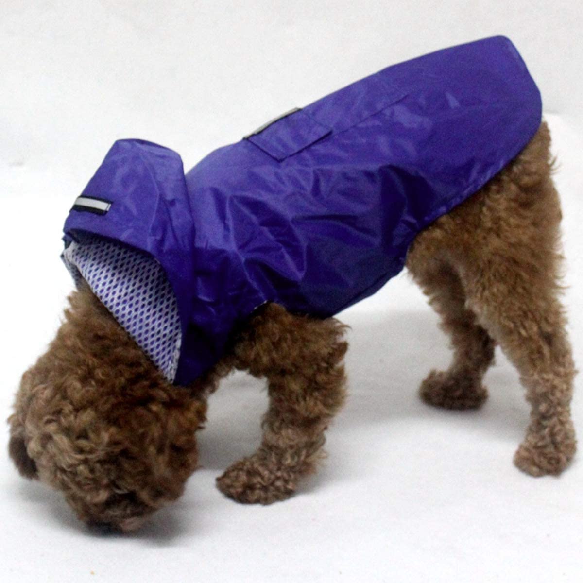  POPETPOP Chubasquero con Capucha para Perros Medianos y Grandes, Sudaderas Impermeable, Agujero para Arnés, Tira Reflectante, Bolsillos (Azul, 5XL) 