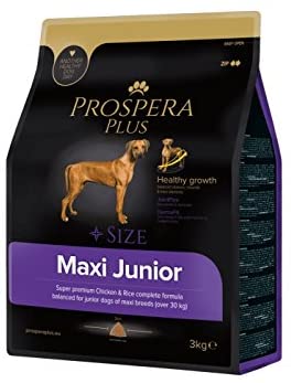  Prospera Plus Pienso Perros Jóvenes Raza Grande - Maxi Junior Superpremium Pollo y arroz -3KG 