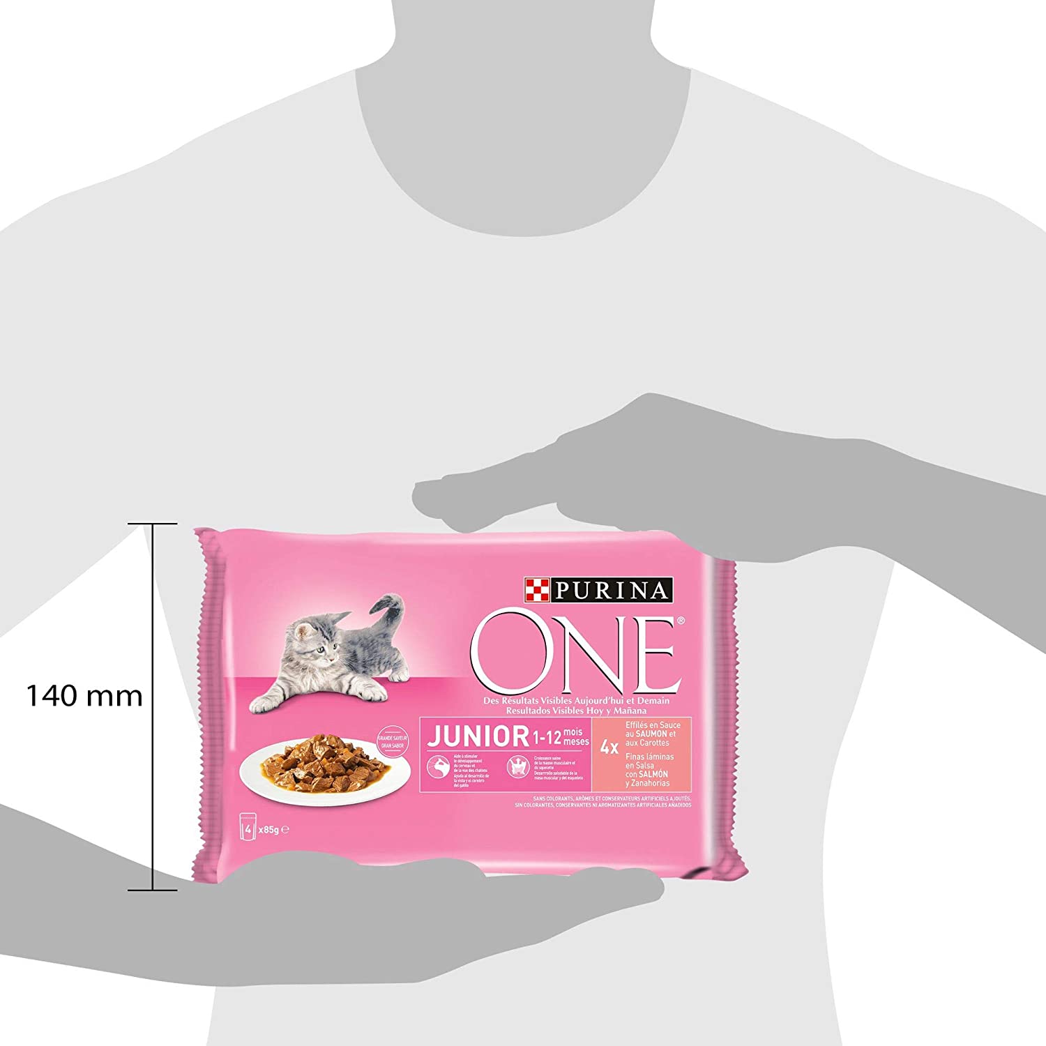  Purina ONE comida húmeda para gato, gatito, junior, gatos hasta 1 año filetes en salsa con salmón 12 x [4 x 85 g] 