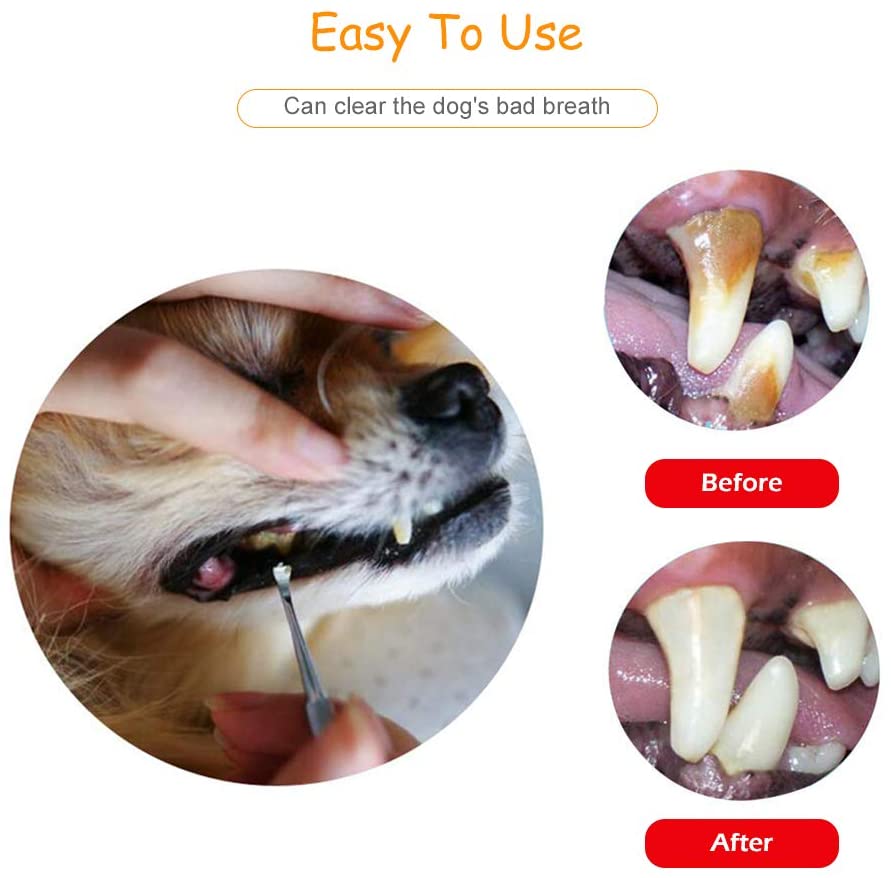  Pywee Dog Tooth Scaler y Scraper Pet Tarter Remover con Diferentes ángulos Doppelkopf-Zahnreinigungswerkzeuge de Acero Inoxidable para Perros 