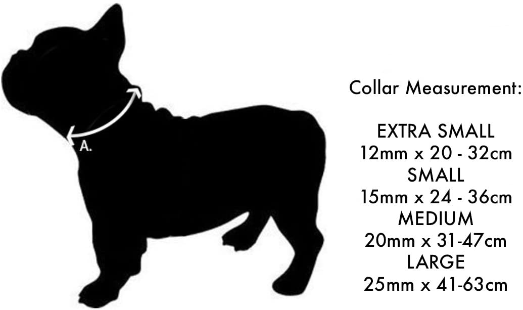  Red Dingo GmbH Spots - Collar para perro , Amarillo, S 