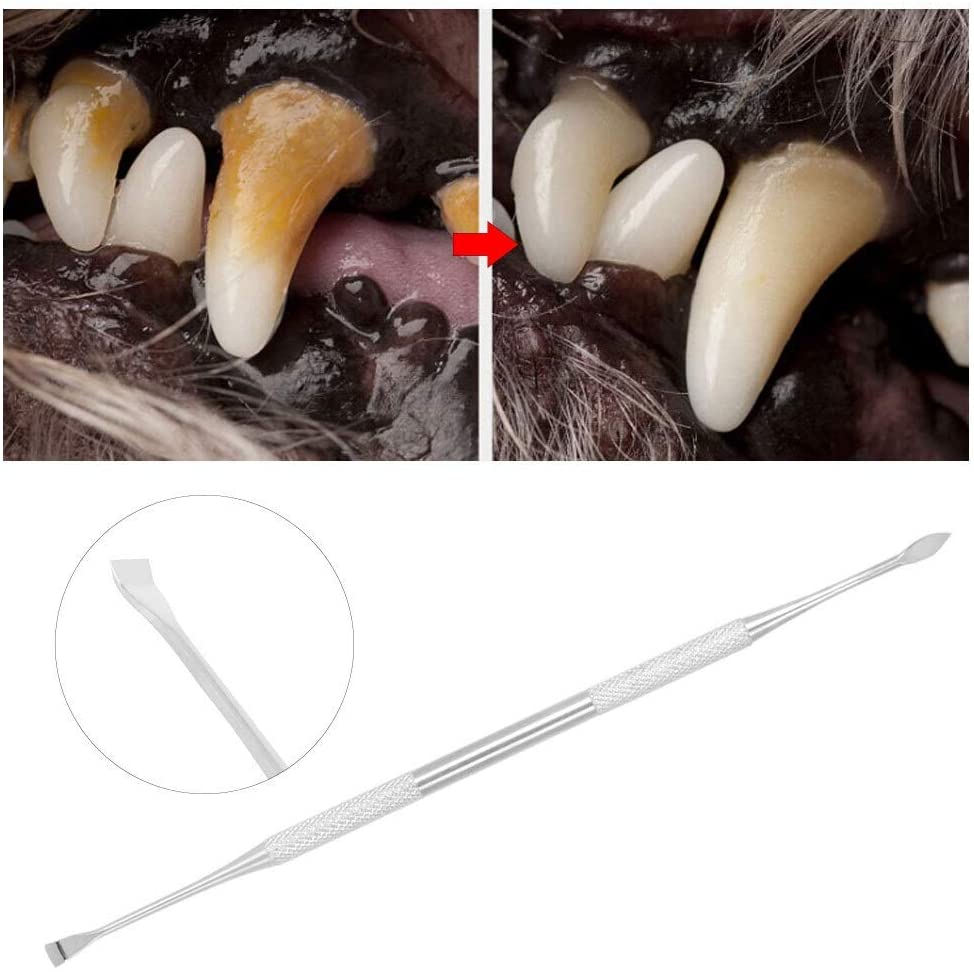  Rockyin Los Dientes del Animal doméstico de Limpieza Doble con Cabeza de Pluma Herramienta removedor tártaro Dental Piedra raspador for el Gato del Perro 