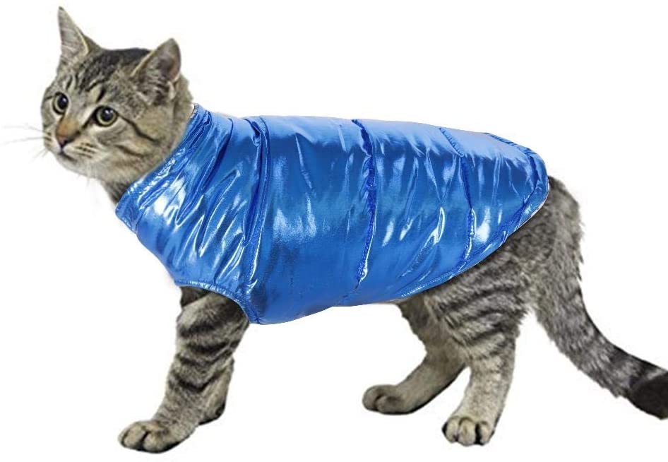  Ropa para mascotas a prueba de agua Chaqueta de ropa para perros abrigados Chaqueta de ropa de bulldog francés Chaleco para mascotas Cachorro de gato Chaqueta para perros pequeños Chihuahua, Azul, XS 