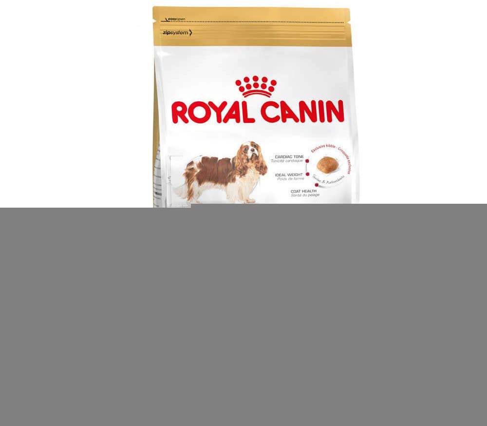  ROYAL CANIN Cavalier King Charles - Saco de 3 kg para Adulto 