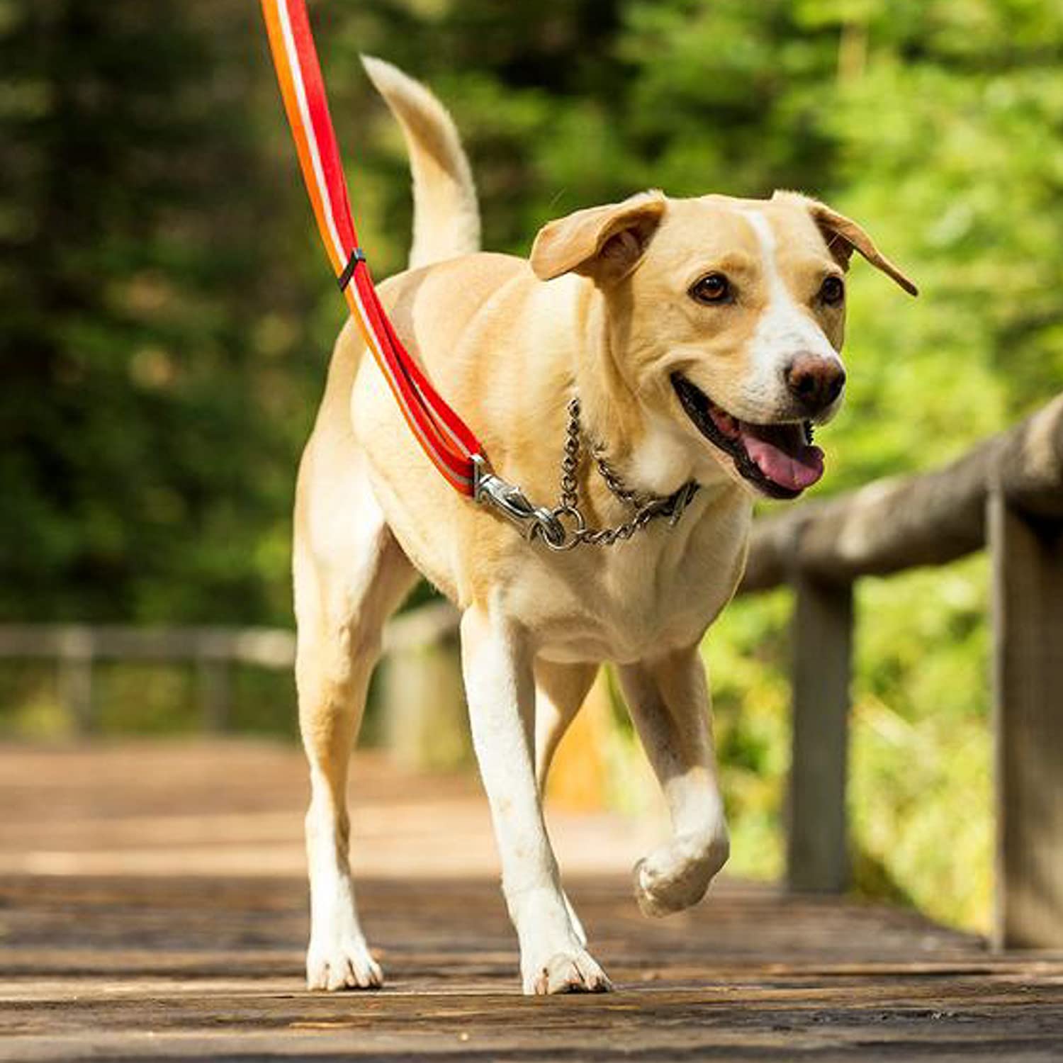  RUFFWEAR - Chain Reaction Collar, Color kokanee Red, Talla S/ 28-36 cm 