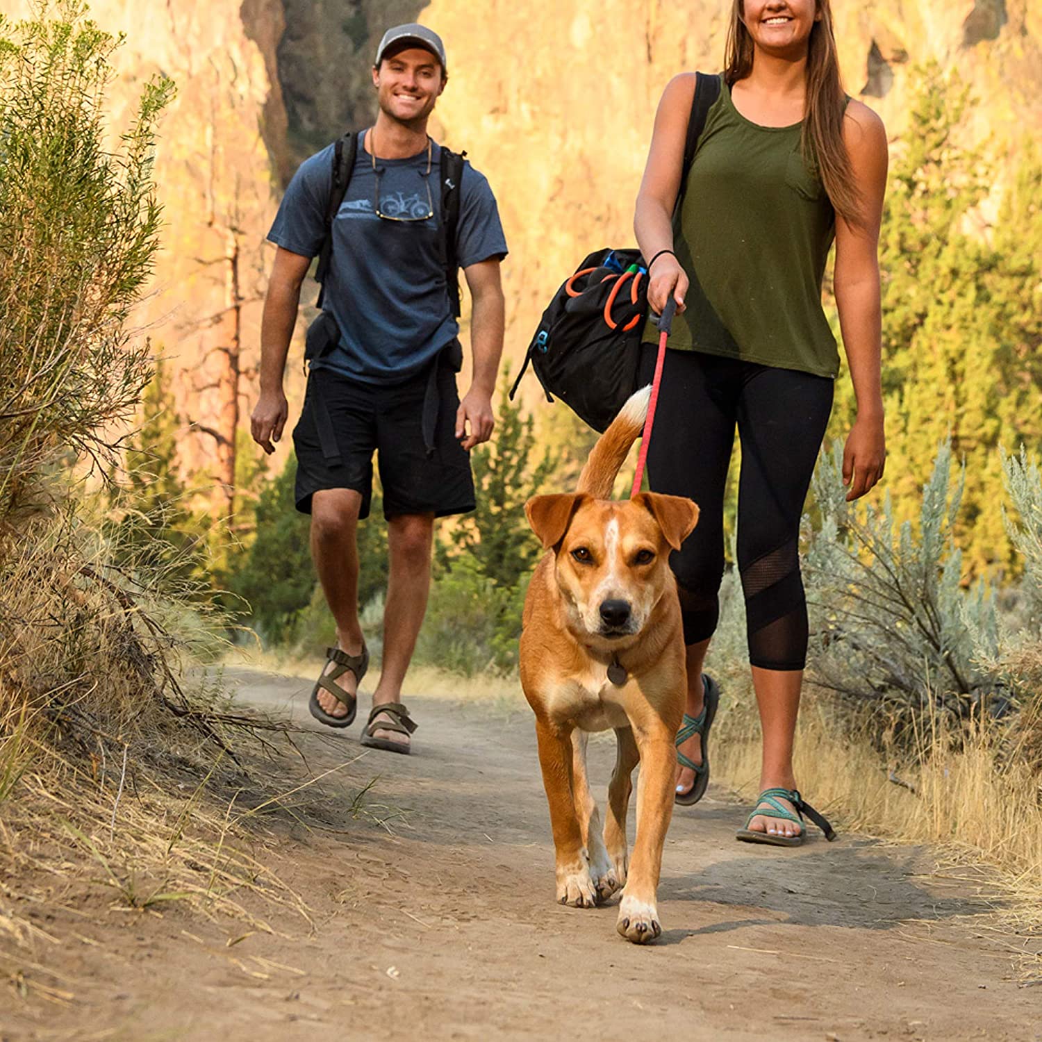  RUFFWEAR - Kit de Amarre para Perro para Acampar, Talla única, Grosella roja, Nudo-a-Enganche 