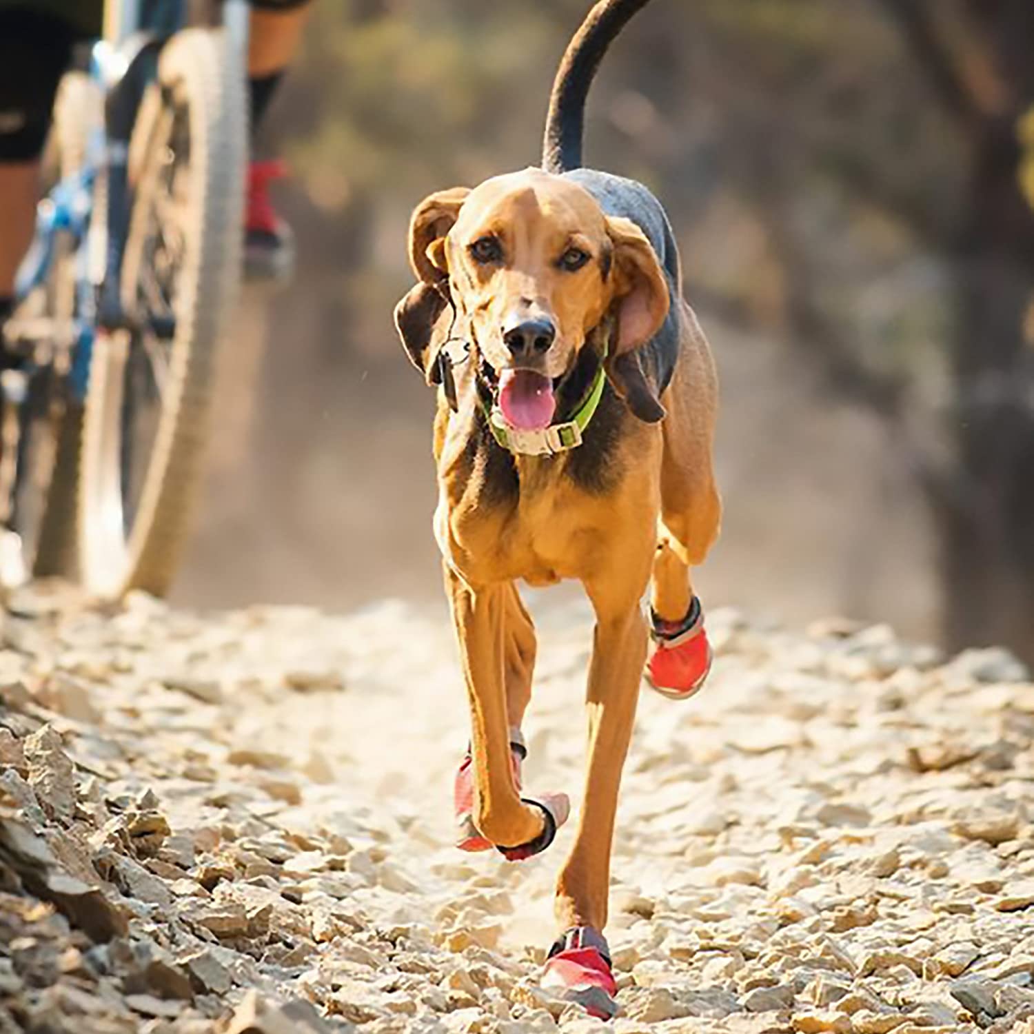  RUFFWEAR Top Rope Accesorios para Perros, Meadow Green 2020 