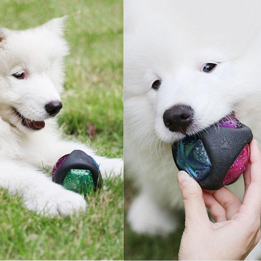  Seawang - Pelota de Goma Luminosa para Mascota, para Masticar y Masticar 