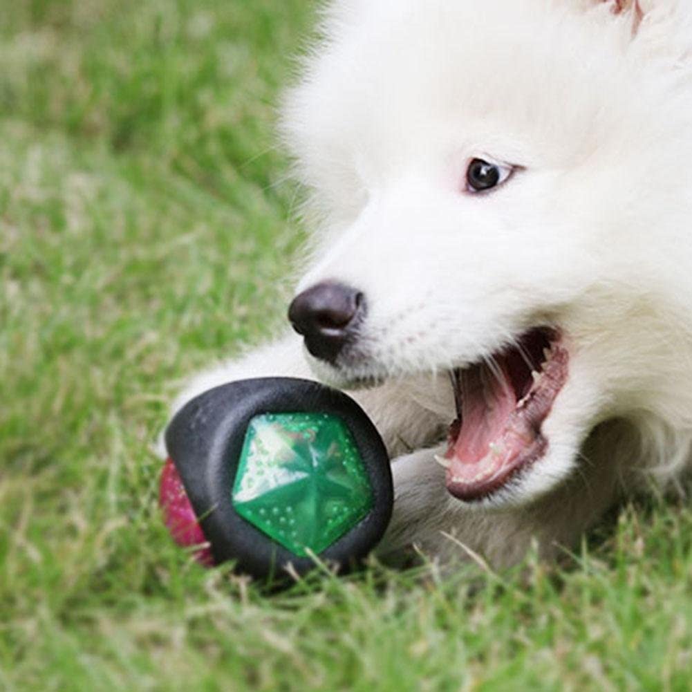  Seawang - Pelota de Goma Luminosa para Mascota, para Masticar y Masticar 