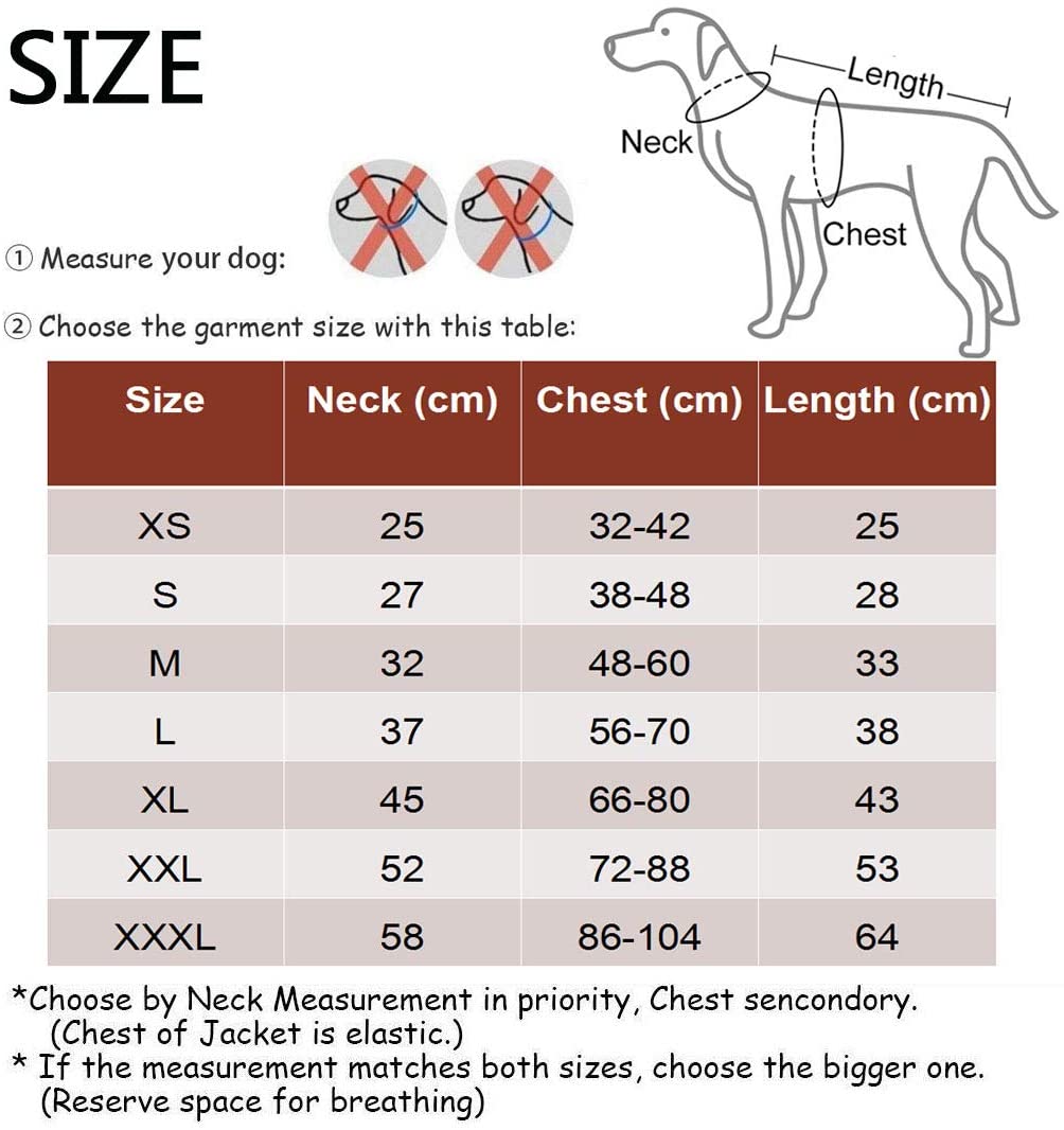  SelfLove Chaleco de refrigeración para Perro Abrigo para Perros Chaqueta de refrigeración para Perros Reflexivo Transpirable Ajustable Verano Anti-UV (XL) 