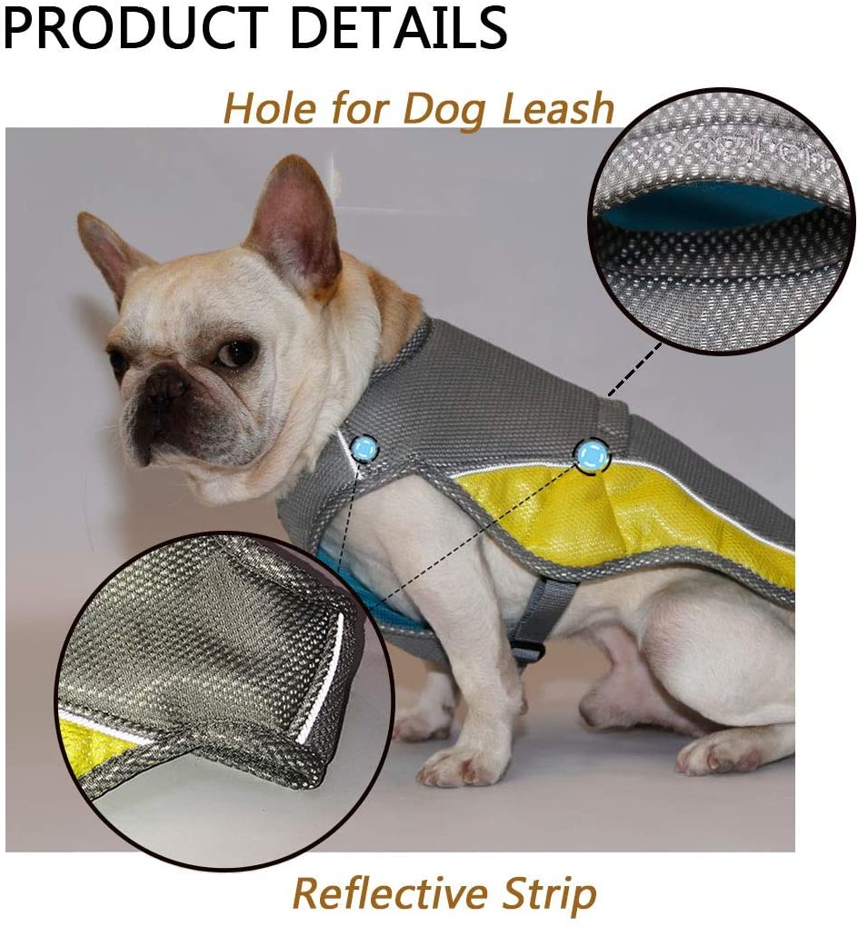  SelfLove Chaleco de refrigeración para Perro Abrigo para Perros Chaqueta de refrigeración para Perros Reflexivo Transpirable Ajustable Verano Anti-UV (XL) 