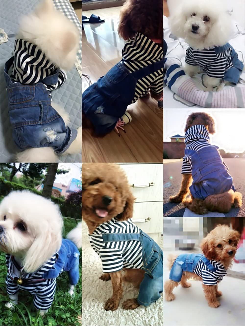  SILD Peto Vaquero con Camiseta para Perro pequeño o Gato, de la Marca, Color Azul 