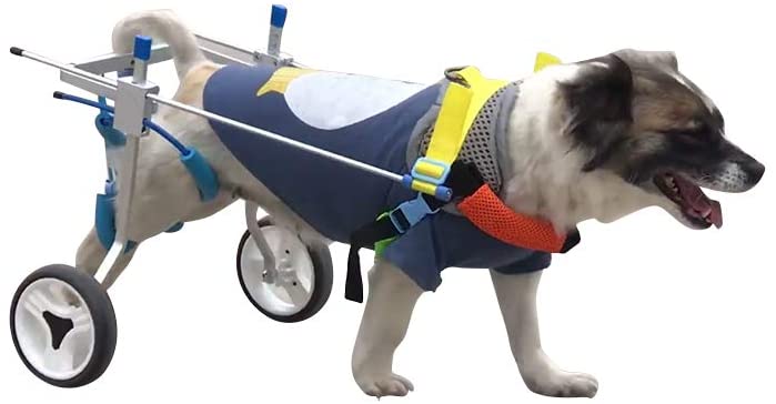  Silla de ruedas ajustable para perros Coche de entrenamiento de rehabilitación de mascotas para gatos y cachorros Patas traseras Ayuda de rehabilitación Scooter para perros 