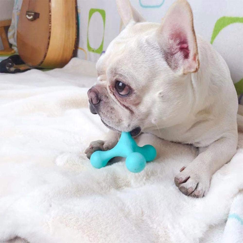  SLcco Juguete para Perros interacción Molar diversión interactiva Perro pequeño y Mediano Oso de Peluche Lucha contra la Ley Keji muerde Suministros de Pelota de Entrenamiento de Goma 