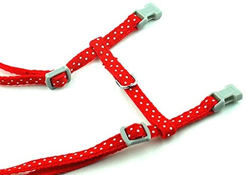  SMALLLEE_LUCKY_STORE Arnés Correa y Collar Ajustable de Lunares para Gato Correa de Paseo para Perro Pequeño Gatos y Conejos Rojo 