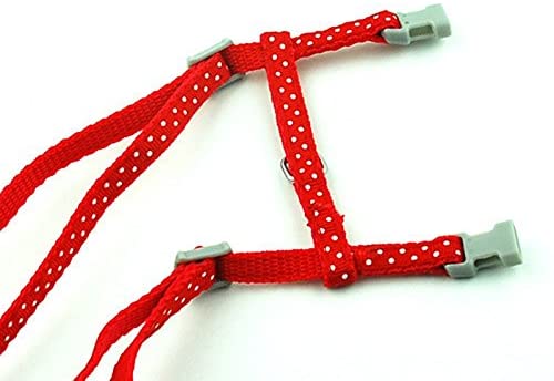  SMALLLEE_LUCKY_STORE Arnés Correa y Collar Ajustable de Lunares para Gato Correa de Paseo para Perro Pequeño Gatos y Conejos Rojo 