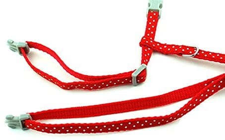  SMALLLEE_LUCKY_STORE Arnés Correa y Collar Ajustable de Lunares para Gato Correa de Paseo para Perro Pequeño Gatos y Conejos Rojo 