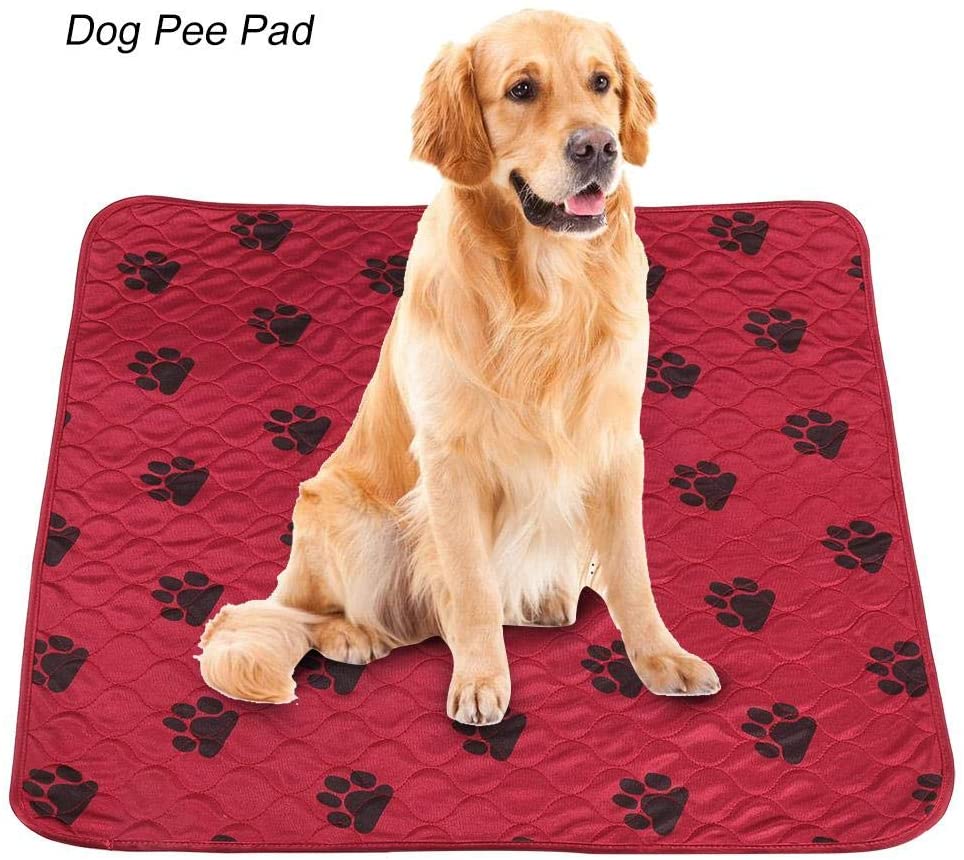  Smandy Almohadillas para Perros, Estera Impermeable para la orina Orina de la Cama Estera Reutilizable para el Entrenamiento del Perro Estera de alimentación Lavable Alfombra de Whelping(Red M) 