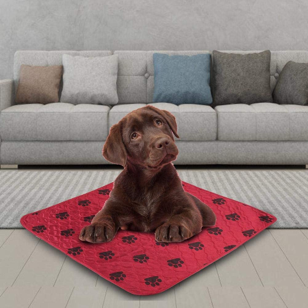  Smandy Almohadillas para Perros, Estera Impermeable para la orina Orina de la Cama Estera Reutilizable para el Entrenamiento del Perro Estera de alimentación Lavable Alfombra de Whelping(Red M) 