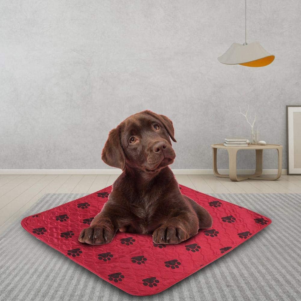  Smandy Almohadillas para Perros, Estera Impermeable para la orina Orina de la Cama Estera Reutilizable para el Entrenamiento del Perro Estera de alimentación Lavable Alfombra de Whelping(Red M) 