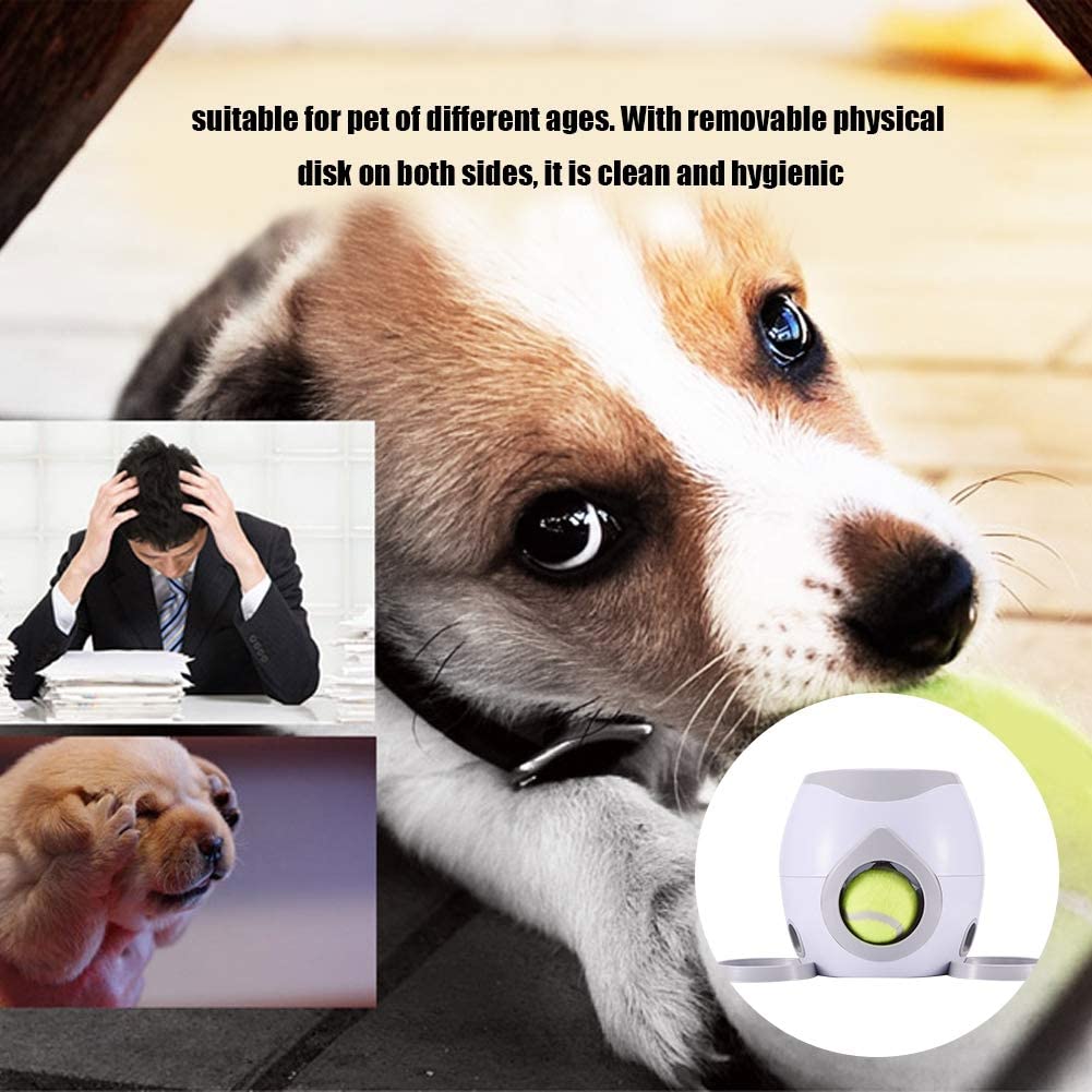  SPTIDY 2 En 1 Pelota para Mascotas Catapulta Lanzador Tenis Máquina para Recompensas De Comida para Perros Alimentadores Automáticos para Mascotas Divertidos Juguetes Interactivos para Perros,White 