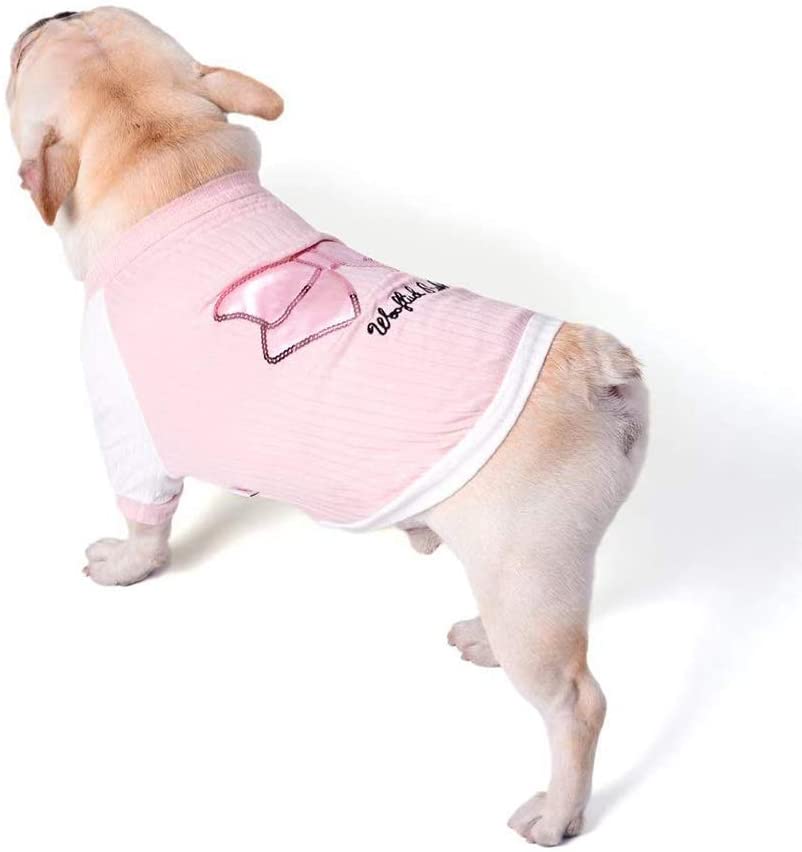  STKJ Ropa para Mascotas De Primavera Y Verano, Ropa para Perros Camisa De Dibujos Animados De Cachorros para Sudadera con Capucha Camisetas para Clima Frío De Otoño,Rosado,L 