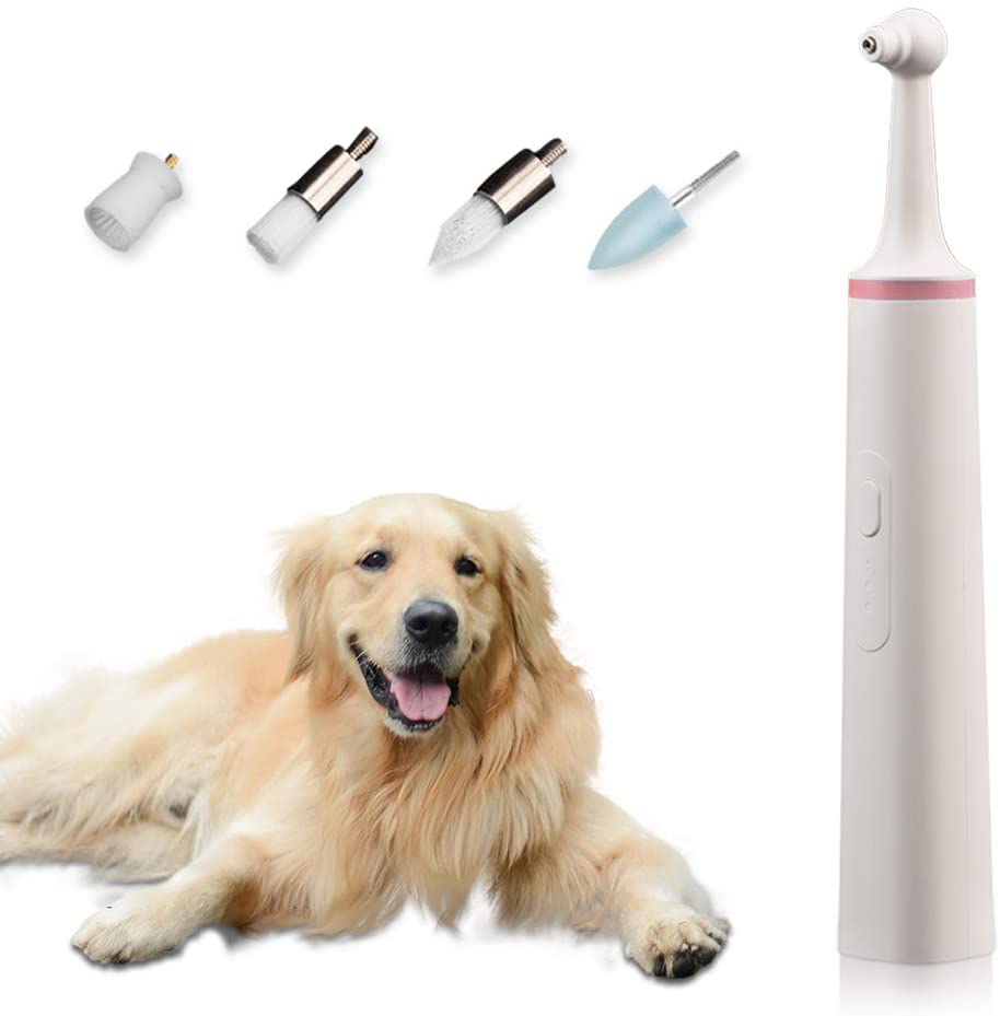  SUNJULY Cepillo de Dientes eléctrico para Mascotas, removedor de sarro para Gatos y Perros, pulidor de Dientes con 4 Cabezales de Cepillo, para el Cuidado Dental de Las Mascotas, Verde/Rosa (Rosa) 