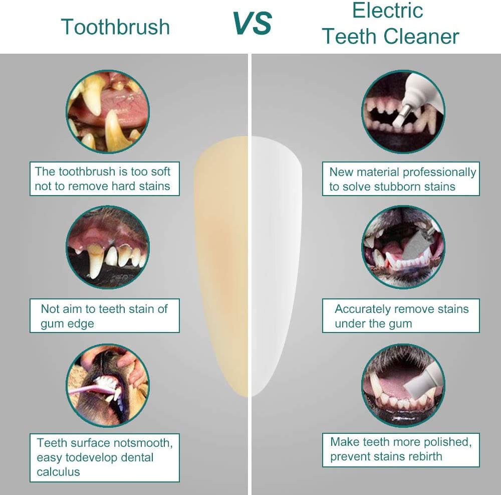  SUNJULY Cepillo de Dientes eléctrico para Mascotas, removedor de sarro para Gatos y Perros, pulidor de Dientes con 4 Cabezales de Cepillo, para el Cuidado Dental de Las Mascotas, Verde/Rosa (Rosa) 