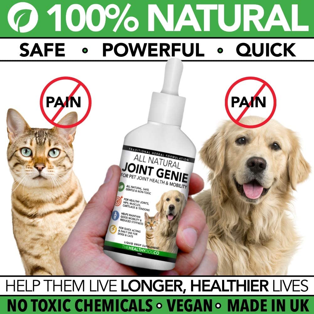  The Healthy Dog Co Joint Genie Completamente Natural | Suplementos para la Salud de Las Articulaciones y la Cadera de los Perros y Gatos | 100 dosis | Alivia el Dolor y la Rigidez para Perros Mayores 