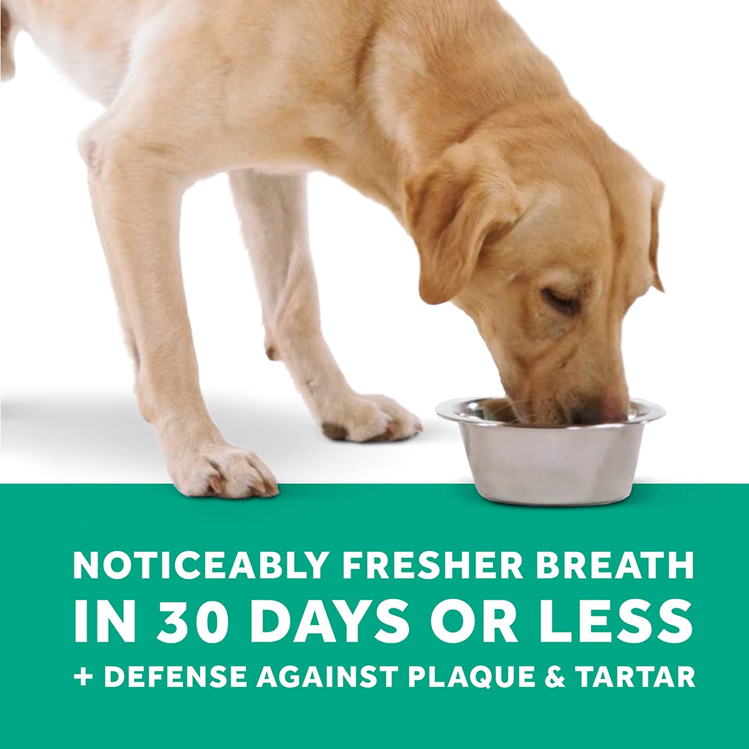  TROPICLEAN Fresh Breath, Gotas Frescas para Animales 