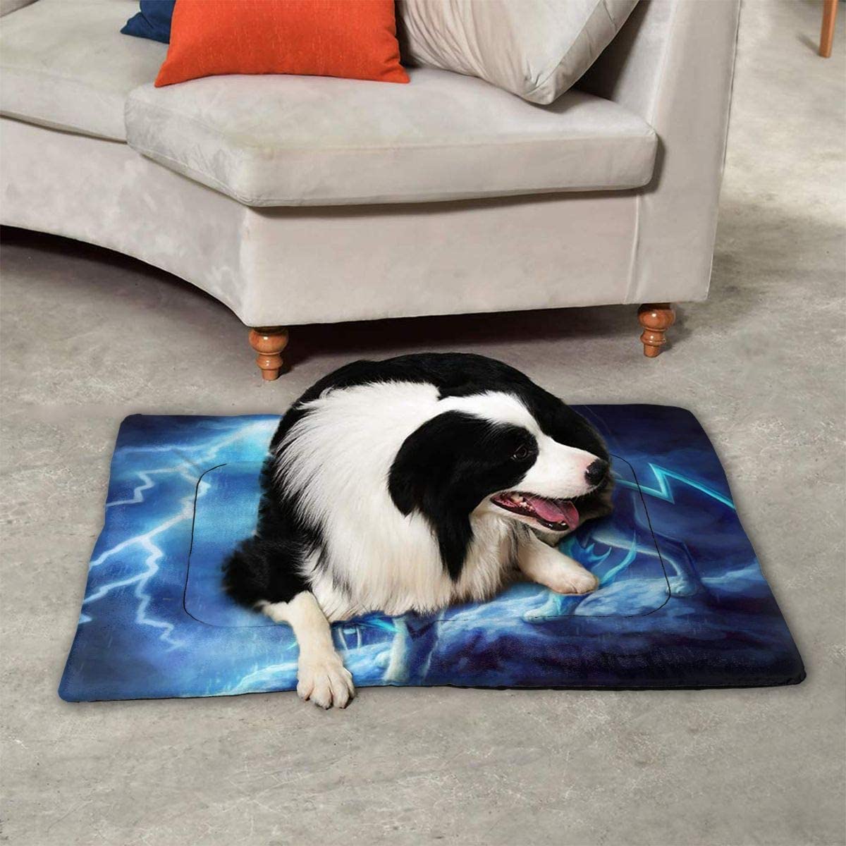  TYHG - Alfombrilla grande para mascotas con diseño de lobo de rayos y lluvia, antideslizante, cómodo cojín para perros y mascotas, para dormir y mantener el calor jugando, negro, 35"x23" 