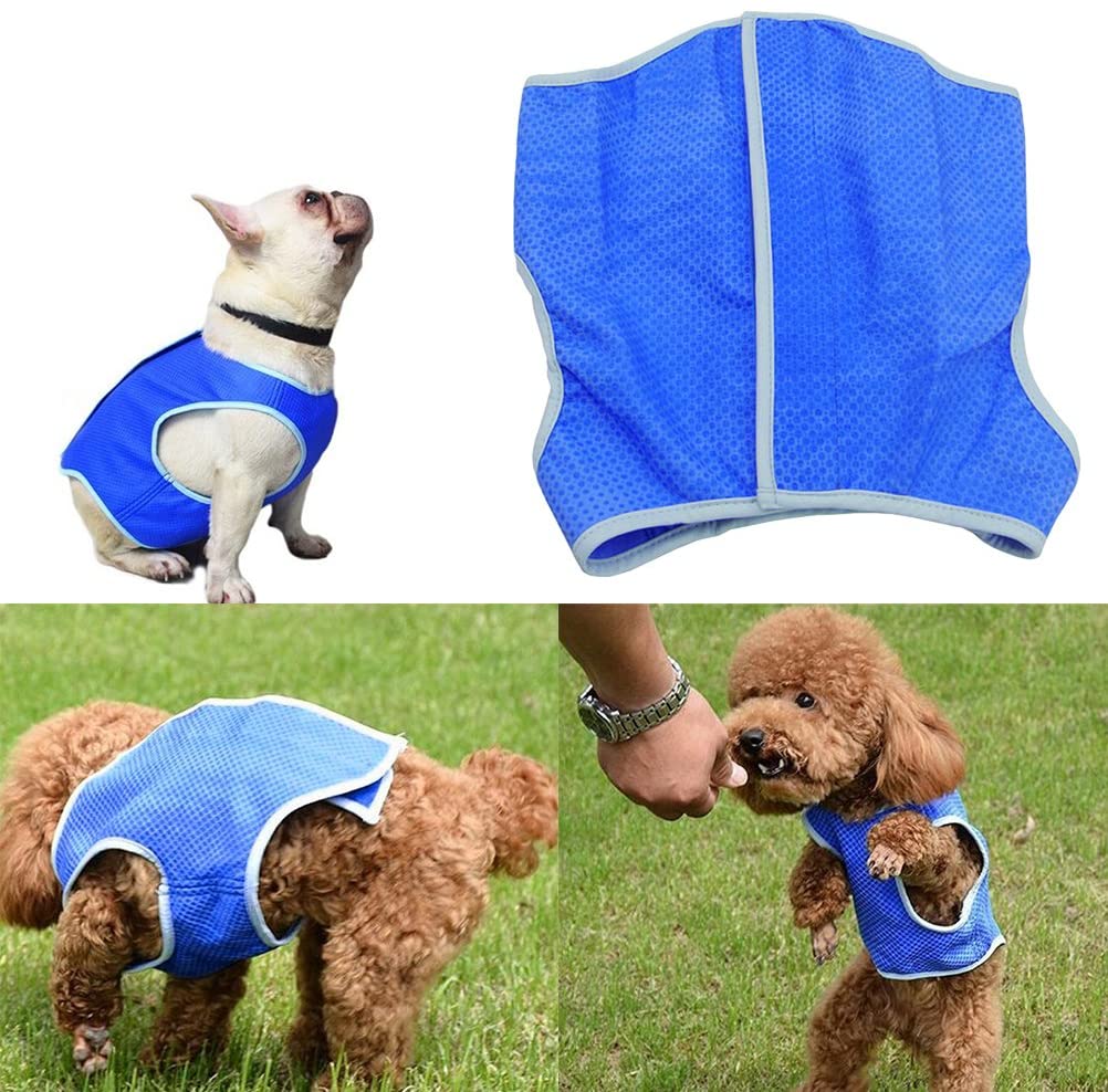  UKCOCO Chaqueta de Chaleco de Refrigeración para Mascotas, Arnés de Refrigeración, Chaleco de Refrigeración con Cinta Mágica para Perros de Cachorros - Talla M (Azul) 