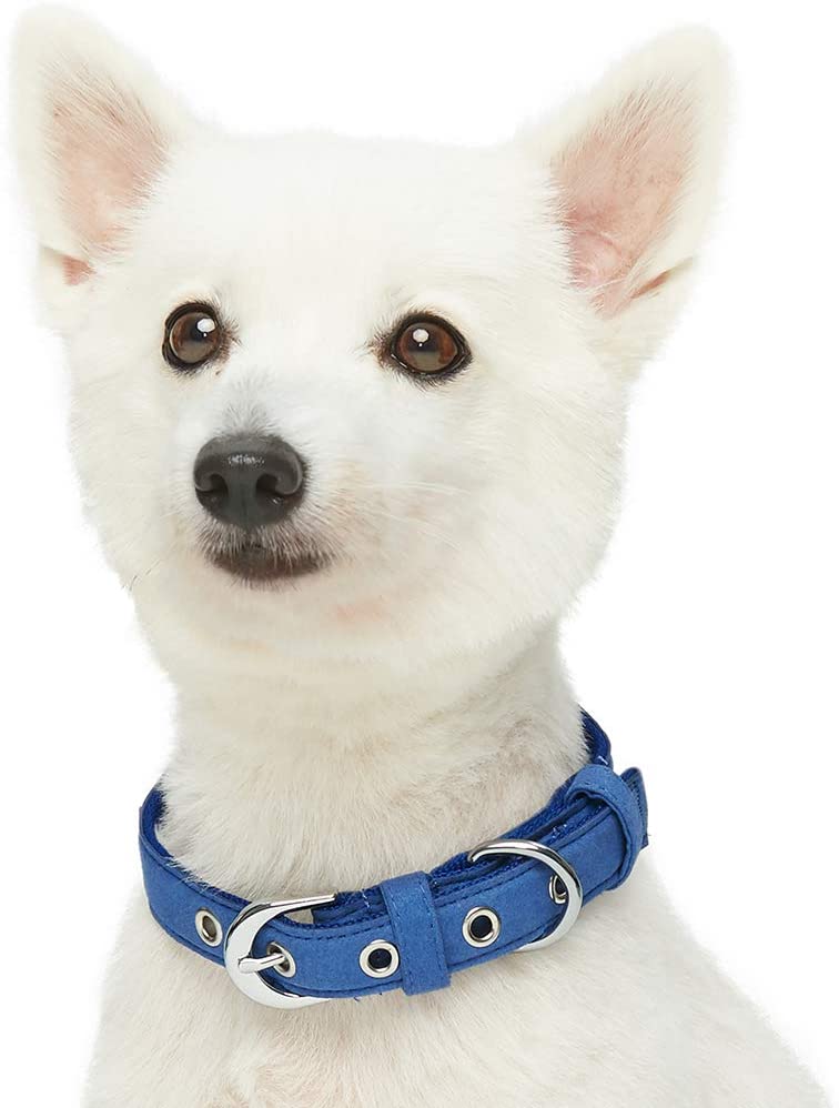  Umi. by Amazon - Designer - Collar para perros con adorable estampado de huesos y hebilla metálica S, cuello 23-32 cm (azul oscuro) 