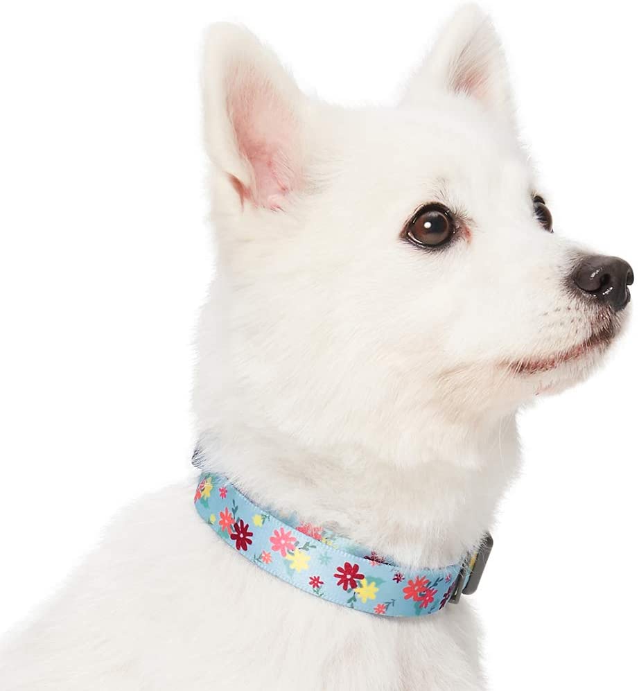  Umi. by Amazon - Made Well - Collar para perros con estampado de flores S, cuello 30-40 cm, collares ajustables para perros (azul bebé) 