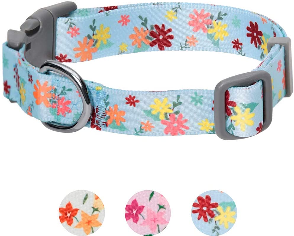  Umi. by Amazon - Made Well - Collar para perros con estampado de flores S, cuello 30-40 cm, collares ajustables para perros (azul bebé) 