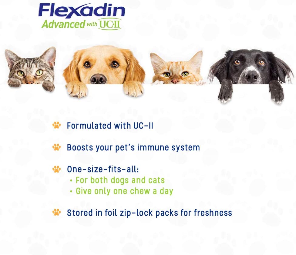  Vetoquinol Flexadin Avanzada con CU-II para Perros y Gatos 60 masticables Todos los Perros 