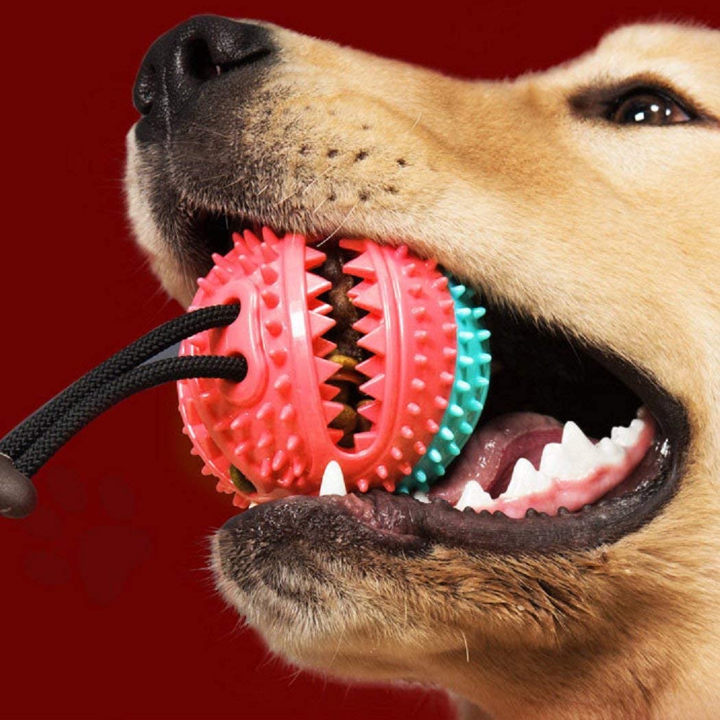  Vijamiy Pelota de Juguete al Aire Libre para Perros Juguete Multifunction Pet Molar Bite Toy para Mordedura de Molar para Mascotas con Ventosa para Masticar Limpiar los Dientes Perros y Gatos (Azul) 