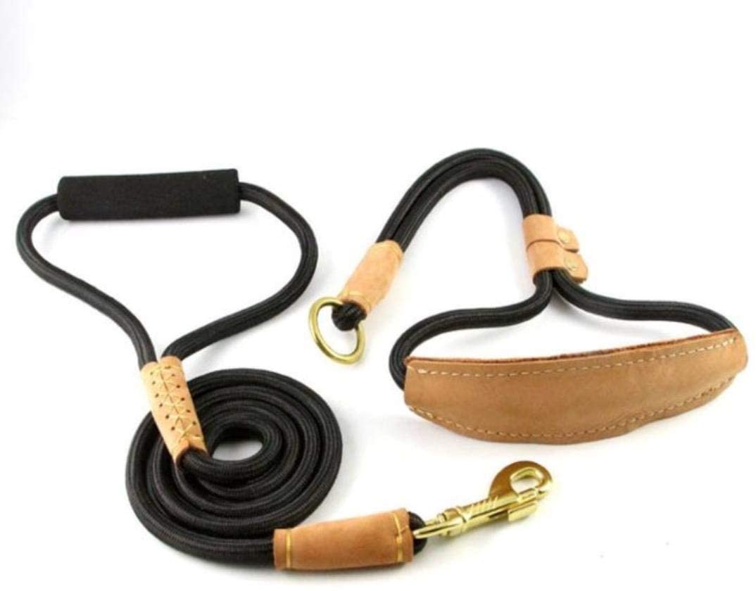  WPANgmz Perro Collar Correa Regalo Durable Perro P Correa para Caminar Cables Cuerdas De Nylon Collar De Cuero para Pastor Alemán Golden Retriever Perros Medianos Grandes, Negro, Talla Única 