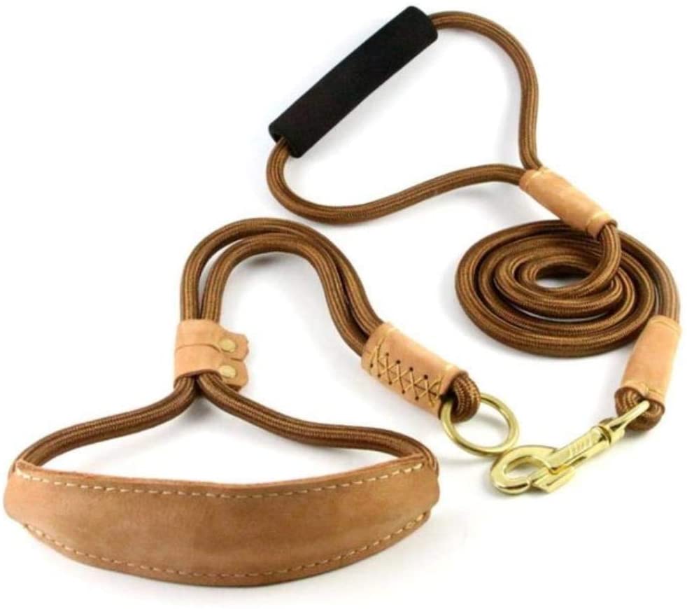  WPANgmz Perro Collar Correa Regalo Durable Perro P Correa para Caminar Cables Cuerdas De Nylon Collar De Cuero para Pastor Alemán Golden Retriever Perros Medianos Grandes, Negro, Talla Única 