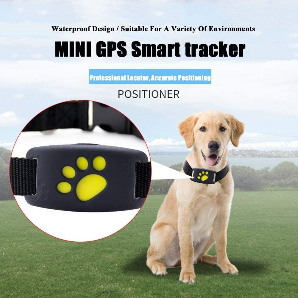  WYXIN Perros del Perseguidor del GPS del Animal Doméstico Perros del Cuello Perseguidor del Animal Doméstico De La Función del GPS con El Cable De Carga USB Resistente Al Agua 