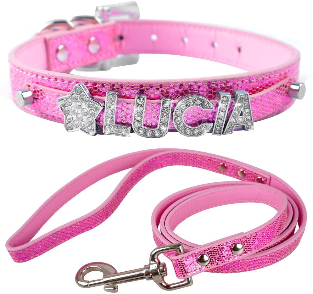  XIAOLANGTIAN Collar Personalizado De Perrito Pequeño Y Correa Juego Letras De Nombre De Bling Personalizadas Gratis para Chihuahua Youkshire Terrier Shih Tzu, Plata, M 