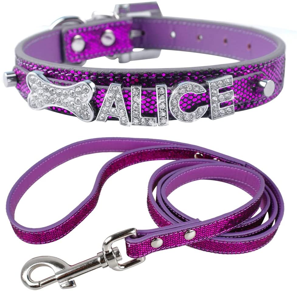  XIAOLANGTIAN Collar Personalizado De Perrito Pequeño Y Correa Juego Letras De Nombre De Bling Personalizadas Gratis para Chihuahua Youkshire Terrier Shih Tzu, Plata, M 