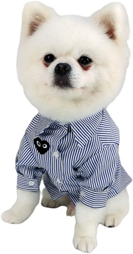  YuoungYuan Chaleco Perro Verano Verano Ropa para Perros Bulldog Francés Ropa Ropa de Gato Mascotas Cachorro Abrigo Doggy Abrigos Cachorro Ropa Gatito Ropa XL 