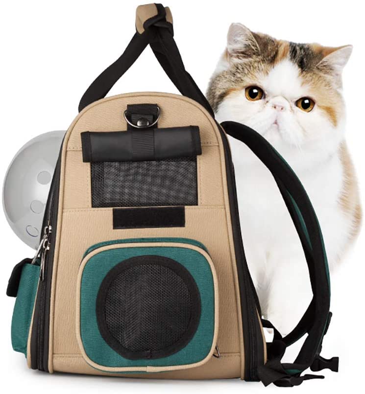  ZISITA Pet Mochila Porta para Gatos Pequeños Perros Cachorros Carry Conejito, Mascota Bolsa con Ventilado De Diseño, Cortinas A Prueba De Sol, Entrada Doble Cara, Ventana del Cabezal,Azul 