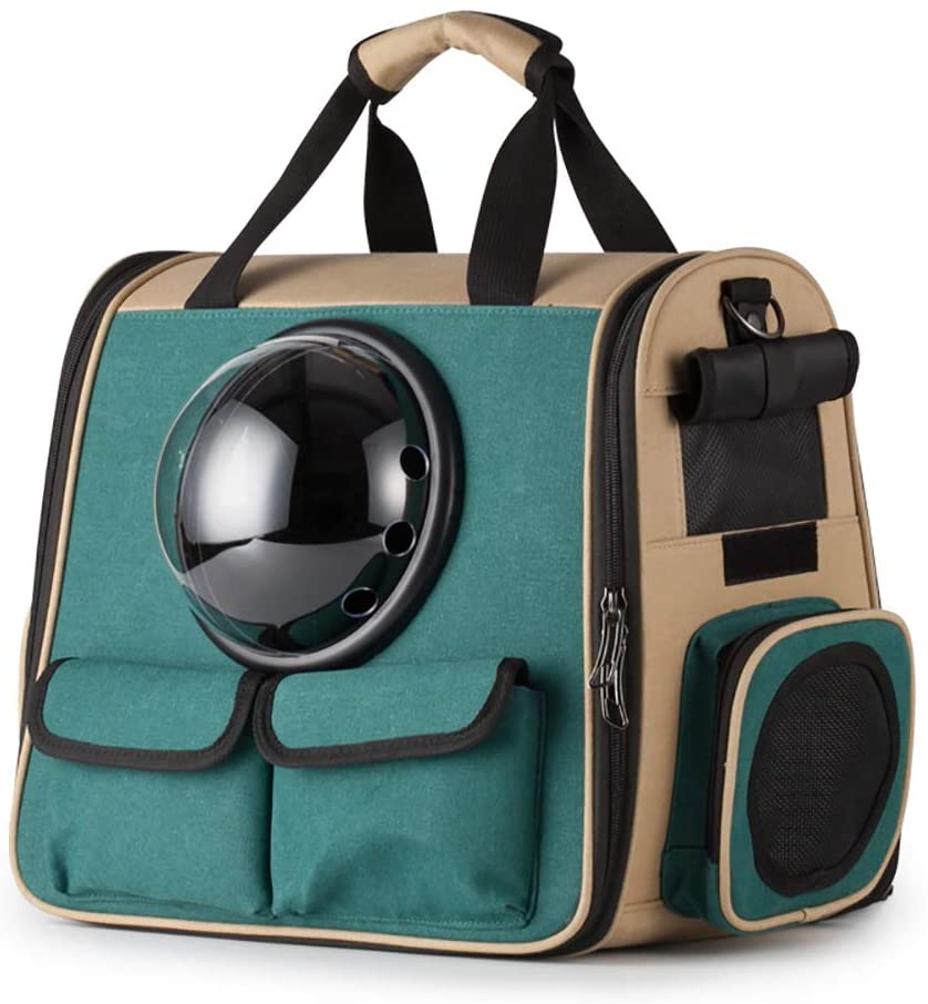  ZISITA Pet Mochila Porta para Gatos Pequeños Perros Cachorros Carry Conejito, Mascota Bolsa con Ventilado De Diseño, Cortinas A Prueba De Sol, Entrada Doble Cara, Ventana del Cabezal,Verde 