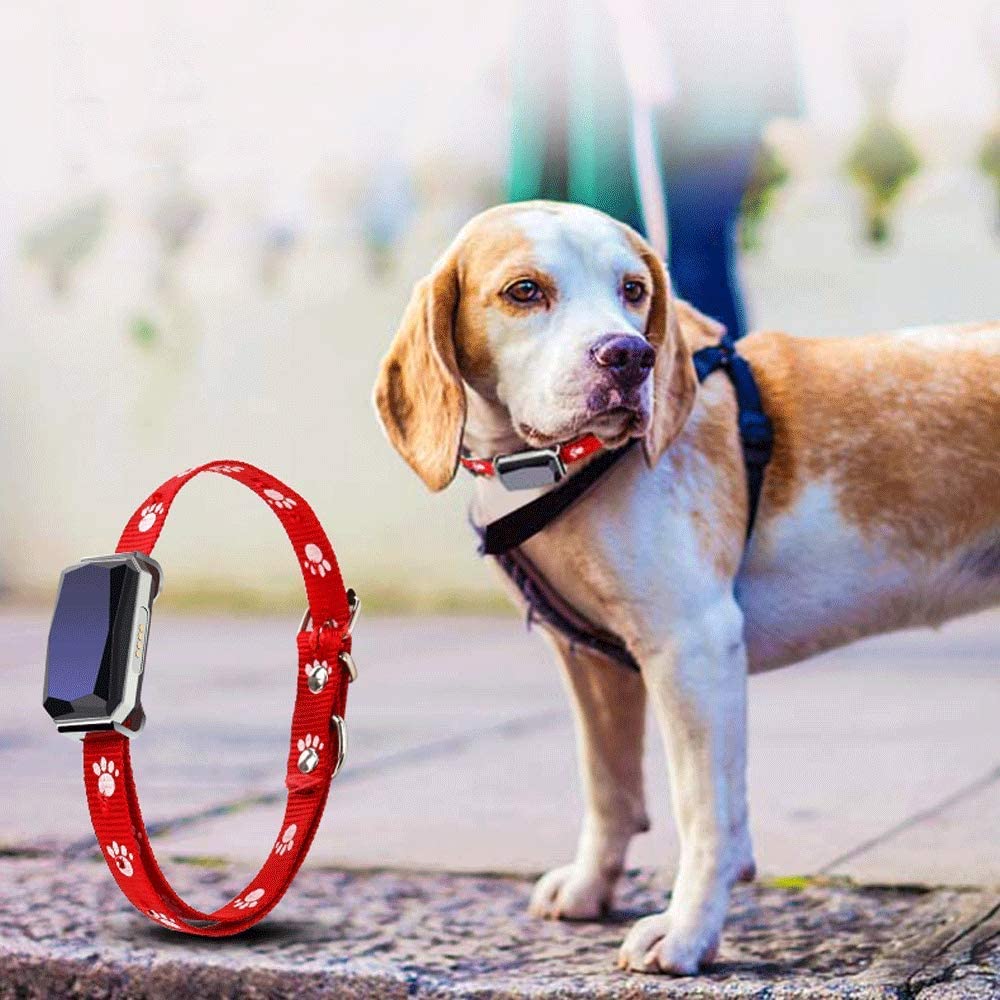  90GJ Localizador de Collar de Perro GPS rastreador de Mascotas Gato a Prueba de Agua Tarjeta de Seguimiento de artefactos Anti-Perdidos Ganado y ovejas Gato Negro 5 * 2.6 * 2 cm 