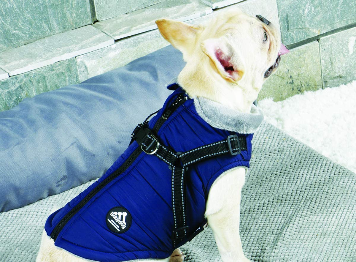  Abrigo Chaqueta para Perro, Caliente para Mascotas, Chaqueta Chubasquero Impermeable de Invierno, Cazadora Perro con Forro Polar, Ropa para Perro. (8L, Gris) 