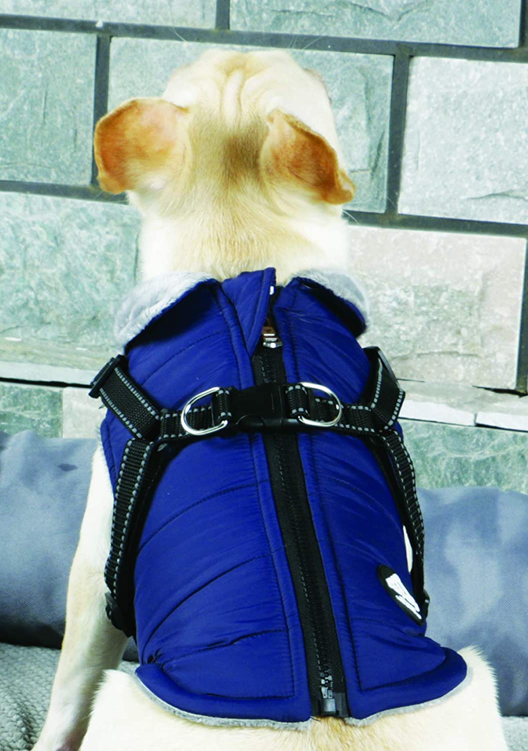  Abrigo Chaqueta para Perro, Caliente para Mascotas, Chaqueta Chubasquero Impermeable de Invierno, Cazadora Perro con Forro Polar, Ropa para Perro. (8L, Gris) 