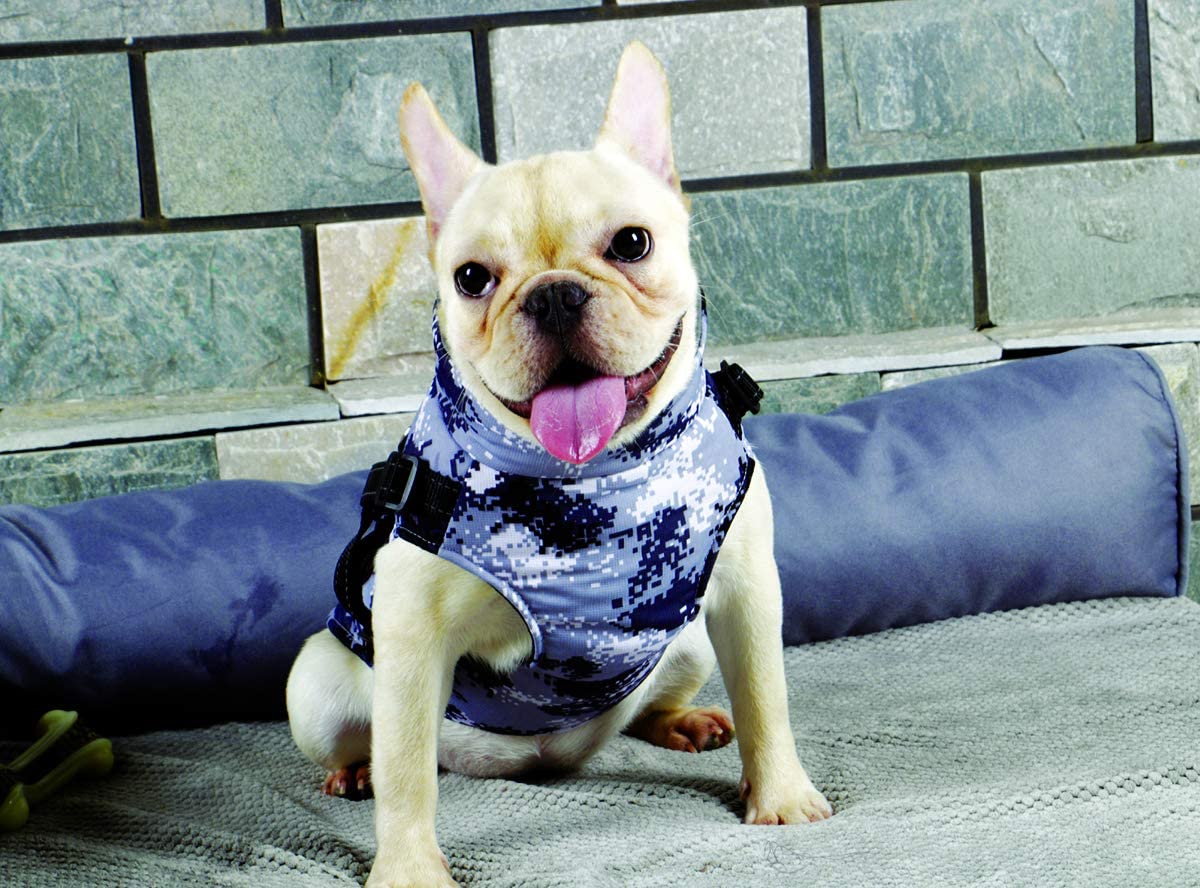  Abrigo Chaqueta Para Perro, caliente para mascotas, prenda de vestir invierno, chaqueta de invierno, cazadora perro con forro polar, ropa para perro, trenca para perro. (L, Azul) 