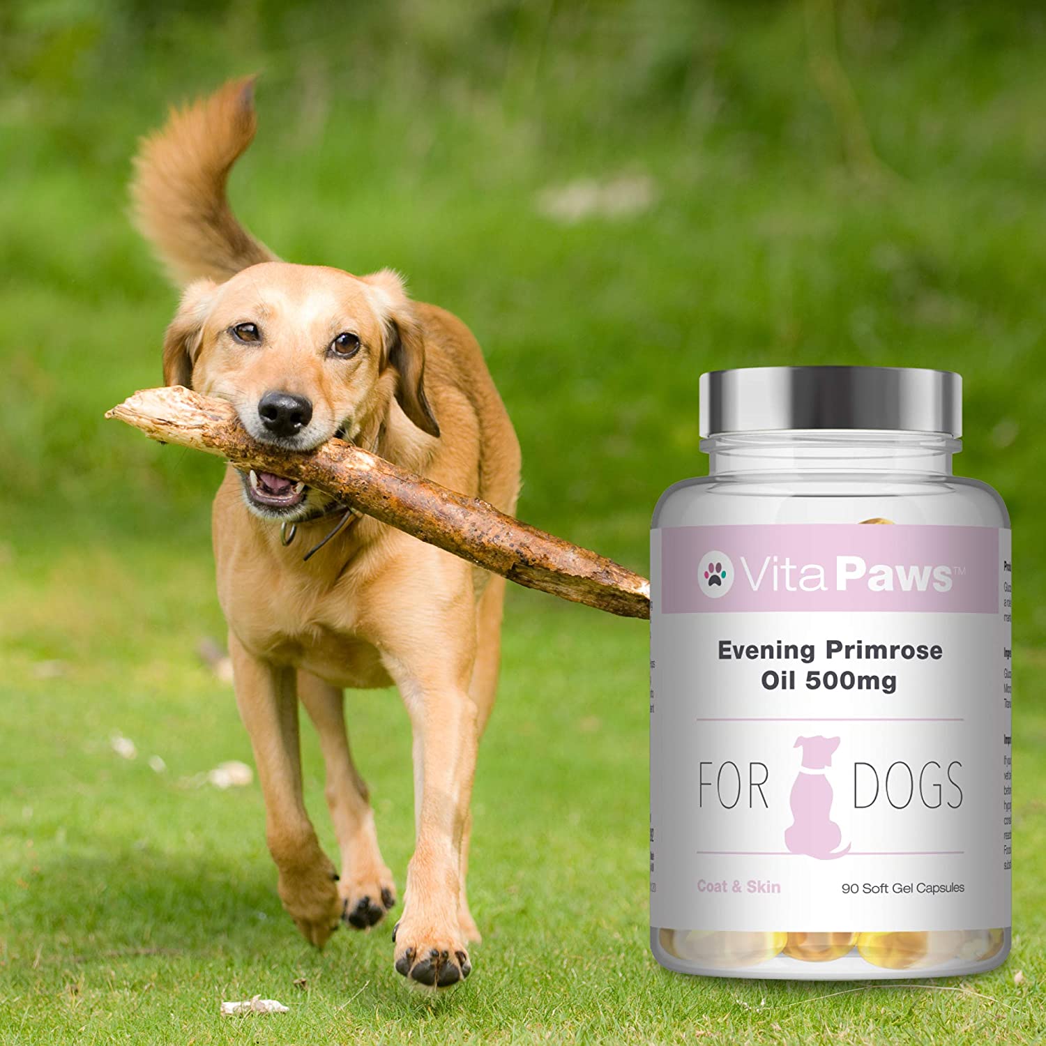  Aceite de Onagra 500mg para Perros - 90 Perlas - VitaPaws 